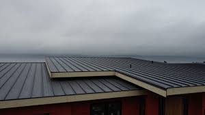 Best Steel Roofing  in Belle, MO